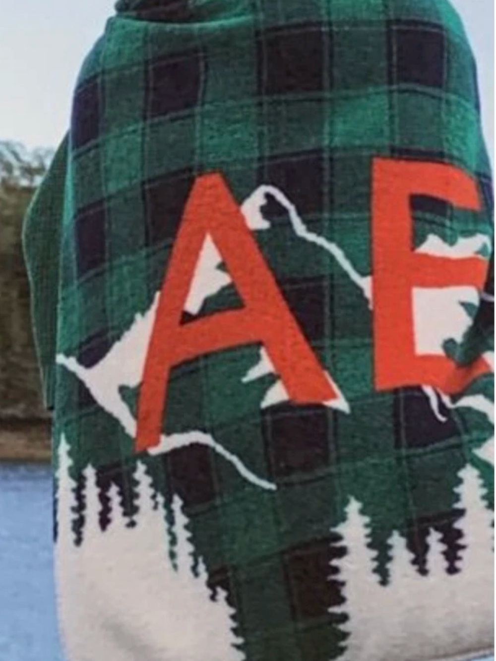 American Eagle Sherpa Blanket Mountain Blue Green Plaid NWT